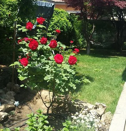 Casa Con Giardino E Cucina * Cernusco Sul Naviglio
