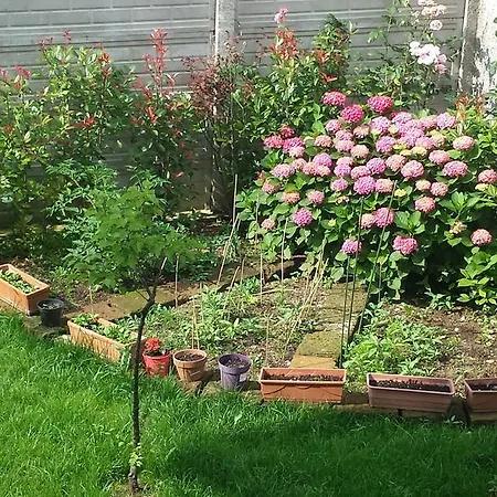 Casa Con Giardino E Cucina Чернуско-суль-Навильо